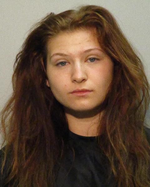 Mug shots 2017